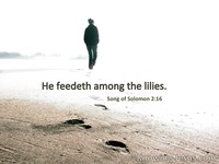 Song of Solomon 2:16